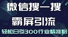 微信搜一搜霸屏引流课，打造被动精准引流系统，轻松日引300行业精准粉